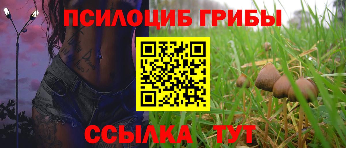 Галлюциногенные грибы Psilocybine cubensis  Вход с VPN  Псилоцибиновые грибы Magic Shrooms  Назарово 